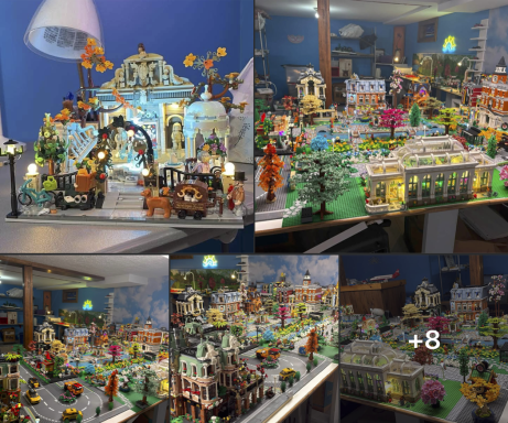 Gisele Swanson RayBricks Creativ Contest - Lumibricks MOC Fans